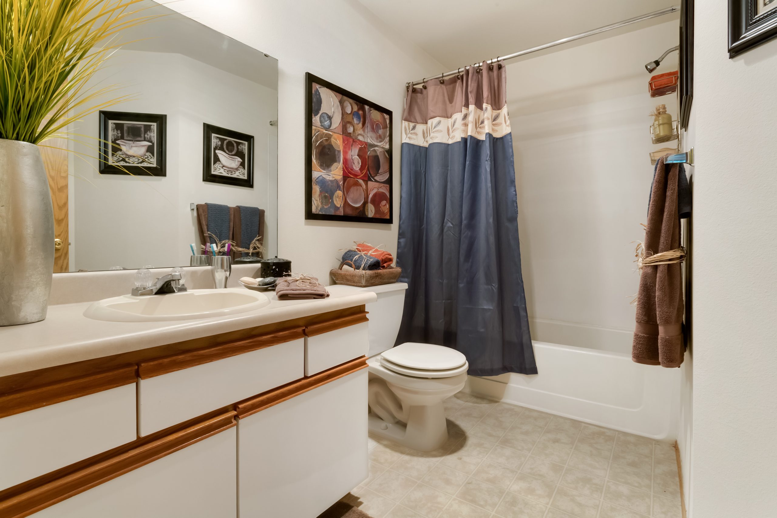 Modernized residential bathroom with vanity, toilet, and shower curtain